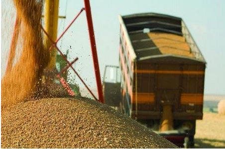 الحكومة تصادق على تغيير رسم الاستيراد المفروض على القمح ومشتقاته