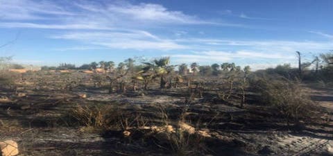 تارودانت: حريق مهول بجماعة سيدي بوموسى