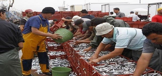 Photo of ارتفاع أسعار الأسماك في الأسواق المغربية