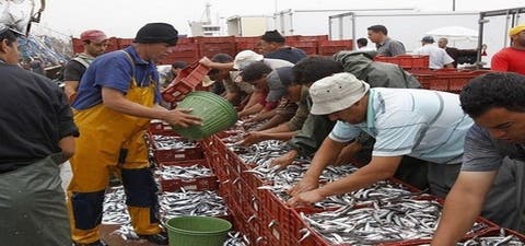ارتفاع أسعار الأسماك في الأسواق المغربية
