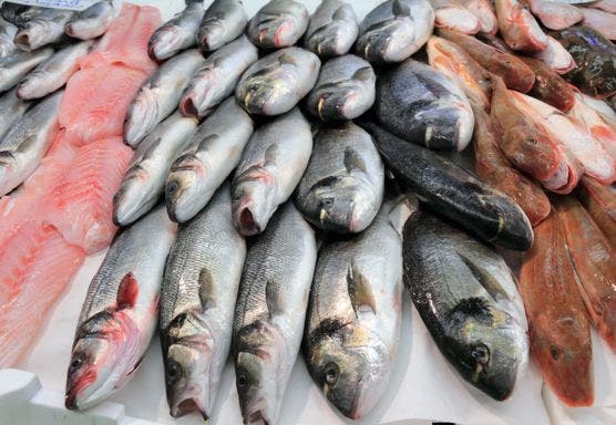 Photo of جامعة غرف الصيد البحري: هذا سبب الزيادة في أسعار السمك
