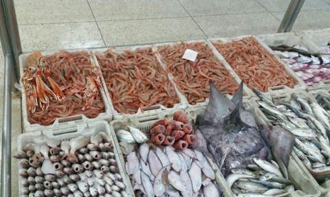 مندوب الصيد البحري بالقنيطرة يواجه إتهامات خطيرة بالتزوير ‎