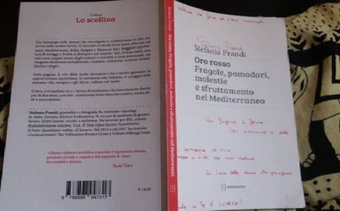 كاتبة إيطالية تطرح كتابا يرصد معاناة العاملات المغربيات في حقول الفراولة الاسبانية