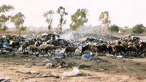 تارودانت : “أزمة النفايات” بهوارة تخيم  على أشغال دورة ماي