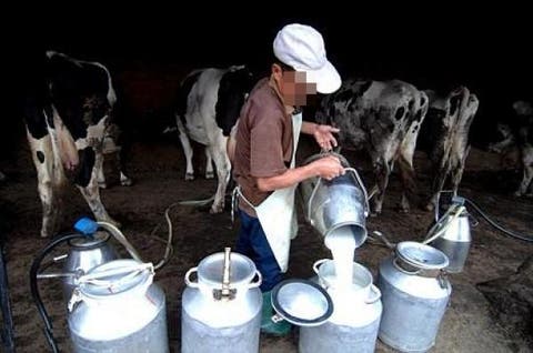 تعاونيات تعتزم تقديم الحليب مجانا دعما للمقاطعة
