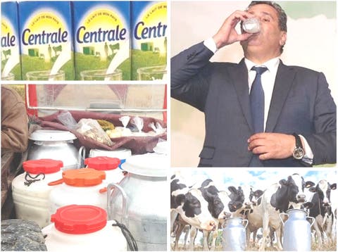 في عز حملة المقاطعة.. الفلاحون يتدبرون تسويق إنتاجهم من الحليب