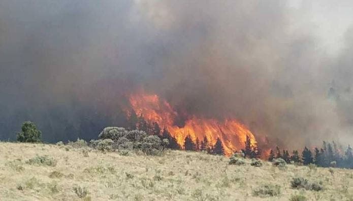 Photo of “حريق الربيع” يضرب غابات كولورادو.. وإجلاء المئات