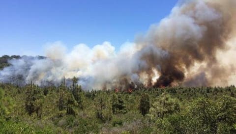 السلطات تسيطر بالكامل على حريق بغابة “أوريكا” بأوكايمدن