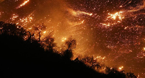 ارتفاع حصيلة حرائق غابات أمريكا إلى 100 حريق
