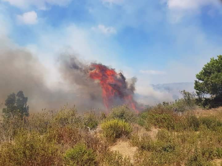 Photo of حريق مهول يندلع بغابة “السلوقية” بطنجة