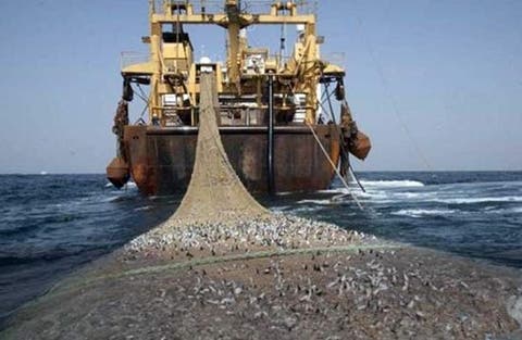 عثمون:تنفيذ اتفاق الصيد البحري بين المغرب والاتحاد الأوروبي يشمل عموم التراب الوطني