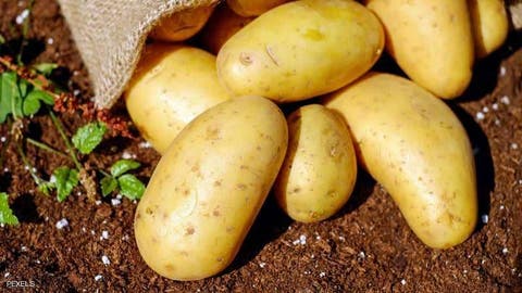 تحذير.. البطاطس “قد تختفي” من الأسواق