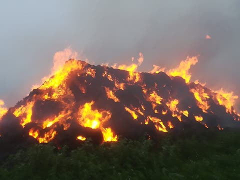 “جانح” يضرم النار في 4000 وحدة للتبن بأربعاء الغرب (فيديو)