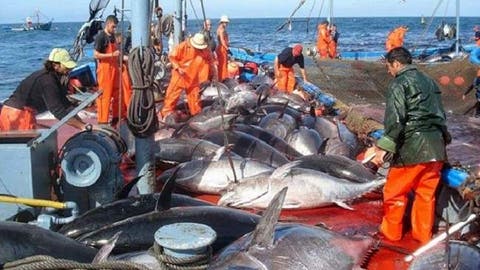 اتفاق الصيد البحري بين المغرب والاتحاد الأوروبي يدخل حيز التنفيذ