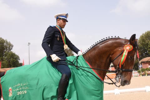 للسنة الثانية على التوالي..خيالة الأمن الوطني تحرز الجائزة الكبرى لبطولة المغرب في ترويض الخيول