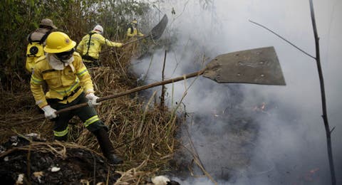 منظمة الصحة: حرائق غابات الأمازون تهدد صحة الأطفال