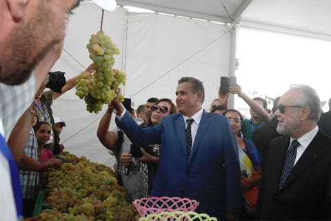 أخنوش يفتتح مهرجان ” العنب” في دورته 12 بجماعة الشراط