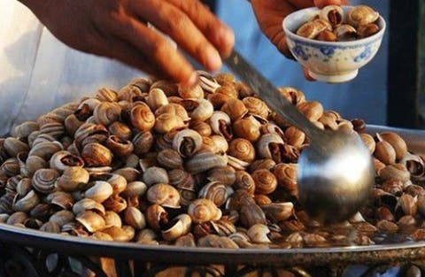 عالم آثار: المغاربة أول من تناولوا الحلزون في العالم