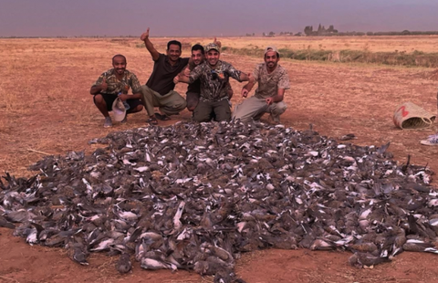 حجز 41 بندقية صيد بعد فضيحة “مصايد” الخليجيين