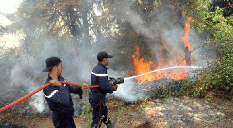 المندوبية: حريق المرجة الزرقاء تم تطويقه ولم يعد يشكل أي خطر