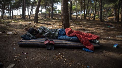 مندوبية لحليمي :غابات مأوى للمهاجرين السريين بالمغرب