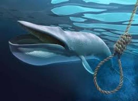 لعبة “الحوت الأزرق” تقتل تلميذا بوجدة