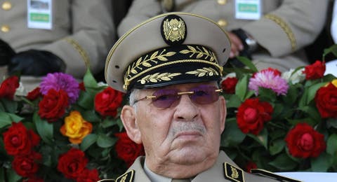 حاكم الجزائر: “الشعب يرفض قطعا تدخل البرلمان الاوروبي في شؤون بلاده”