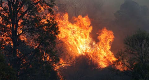 لاحتواء آثار الحرائق .. أستراليا تخصص دعما إضافيا بقيمة 1.4 مليار دولار