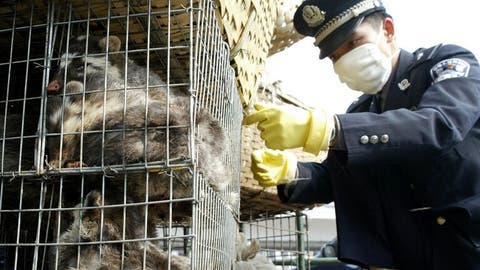 الصين تمنع تجارة الحيوانات البرية وأكلها