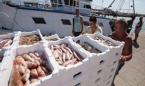 تعميق جراح الأزمة.. المغرب يمنع دخول الأسماك الى سبتة المحتلة
