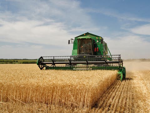 آلات الحصاد تتحدى كورونا و الجفاف و تشرع في حصد المحاصيل الزراعية