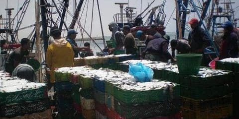أزمة كورونا : مهنيو الصيد يثمنون عمل الوزارة والسلطات الولائية بخصوص الاجراءات الاحترازية