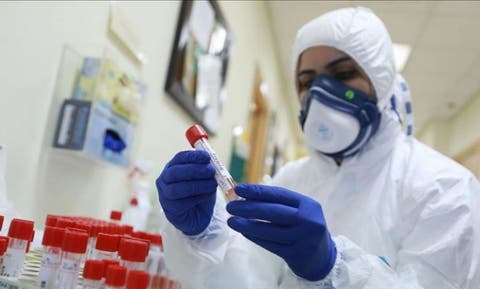 الجزائر.. 7 وفيات و127 إصابة جديدة بفيروس كورونا