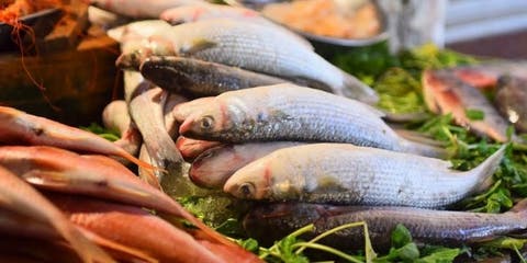 بالأرقام: أسعار السمك والفواكه شهدت ارتفاعا خلال شهر أبريل