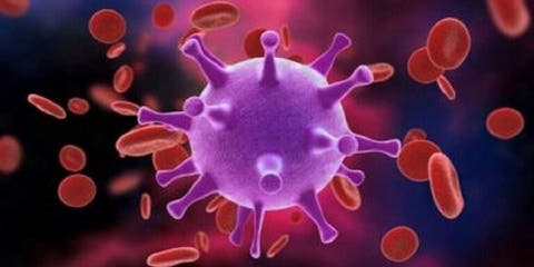 حالات الشفاء من فيروس كورونا في العالم تتجاوز 7 ملايين حالة