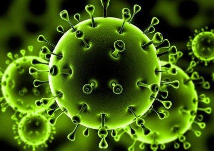 “الصحة”: كورونا لا ينتقل عبر الدم ولم يتبث علميا تأثير “القرنفل” على الفيروس