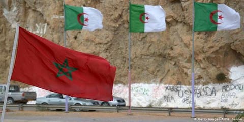 برلمانــي  : الجزائر  تقدم الدعم للبوليساريو بشكل رسمي