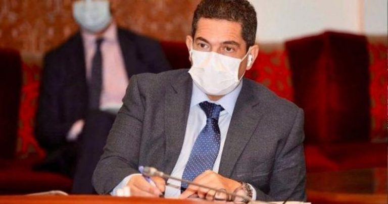 أمزازي: النظام الإيكولوجي- الزراعي لإنتاج الزيتون يشكل تحديا وطنيا