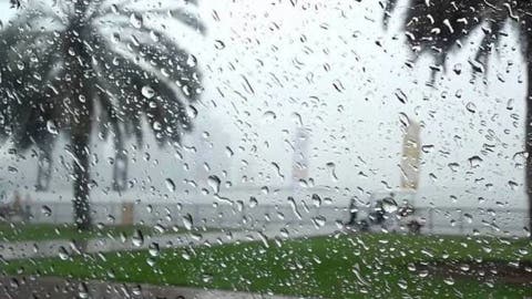 زاكورة تسجل تساقطات مطرية مهمة خلال ال24 ساعة الماضية
