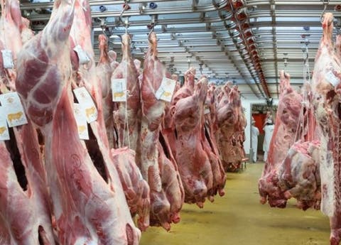 مجازر الدار البيضاء تحدد السعر الأدنى و الأقصى لبيع اللحوم بالمدينة