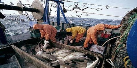 اخنوش يشيد بالحصيلة الإيجابية الاتفاقية الصيد بين الاتحاد الأوروبي والمغرب