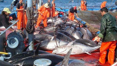 المغرب وروسيا يوقعان اتفاقية جديدة للتعاون في مجال الصيد البحري