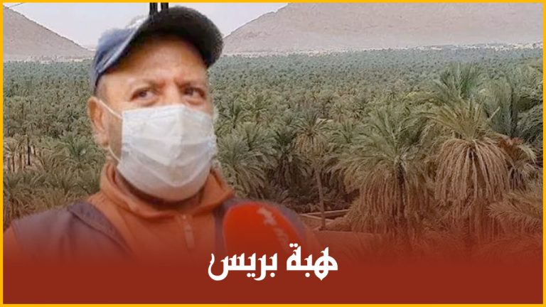 أقرب واحة لأوروبا على الحدود المغربية الجزائرية وهذا نوع التمر الذي تنفرد به