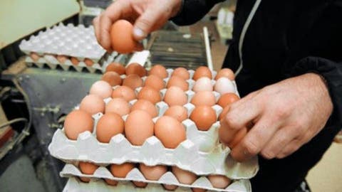 بعد الزيت..ارتفاع  مفاجئ في أسعار البيض