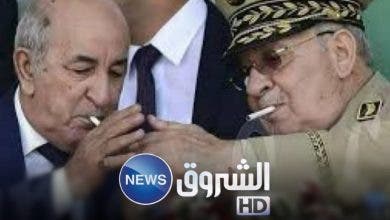 Photo of قناة الشروق.. إعلام الخسّة و النذالة !