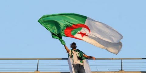 برادة : المجال السياسي بالجزائر يلج مرحلة من الانهيار الأخلاقي  والرعونة