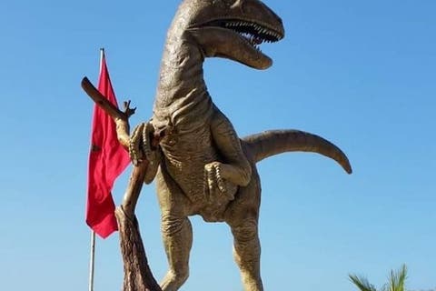 الديناصورات تحظى بمحمية بشاطئ أنزا شمال أكادير