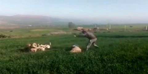 رجل يعتدي على امرأة مستعينا بكلابه بالرماني يثير غضب المغاربة