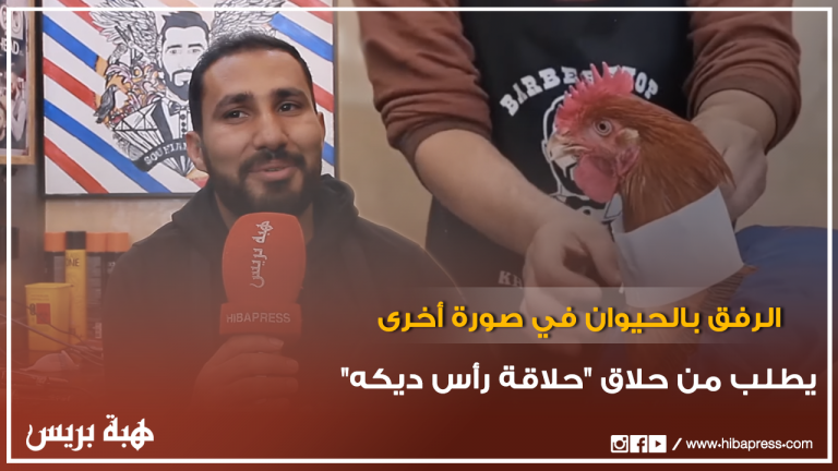 الرفق بالحيوان في صورة أخرى