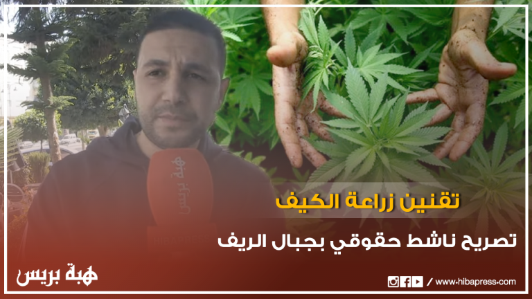 تقنين زراعة الكيف